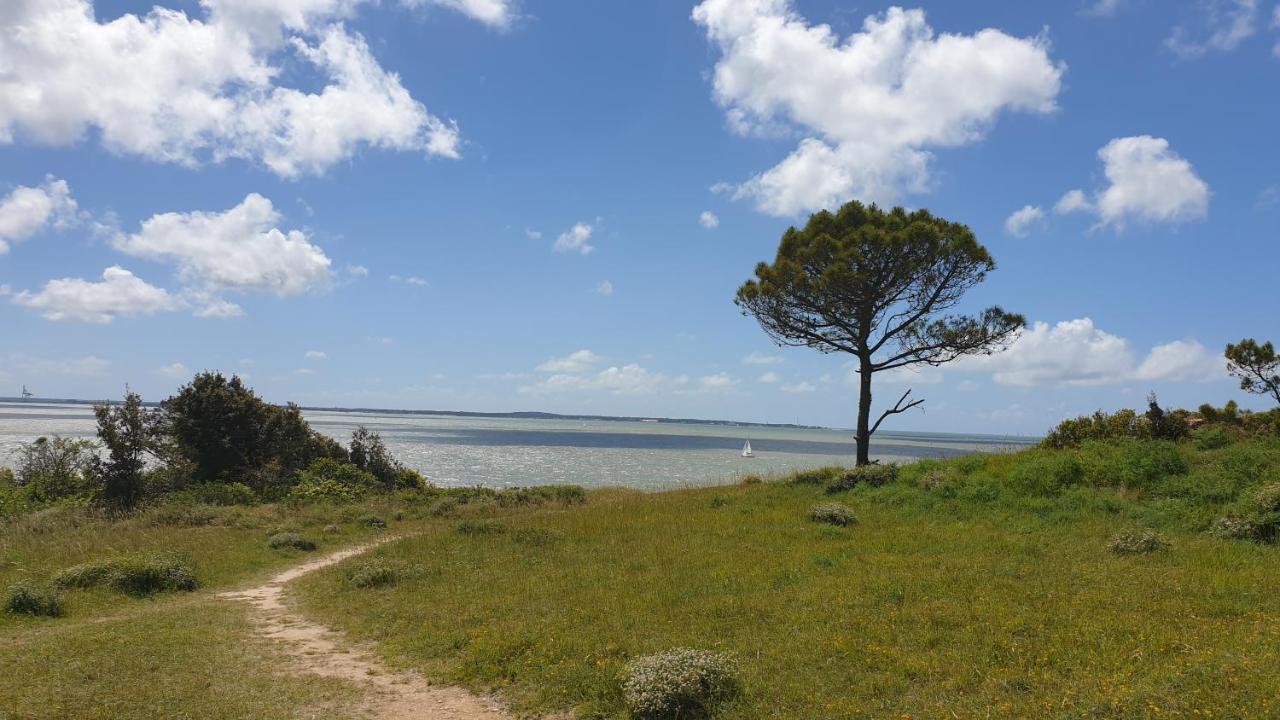 Appartement A 300M De La Plage Saint-Georges-de-Didonne Exteriér fotografie
